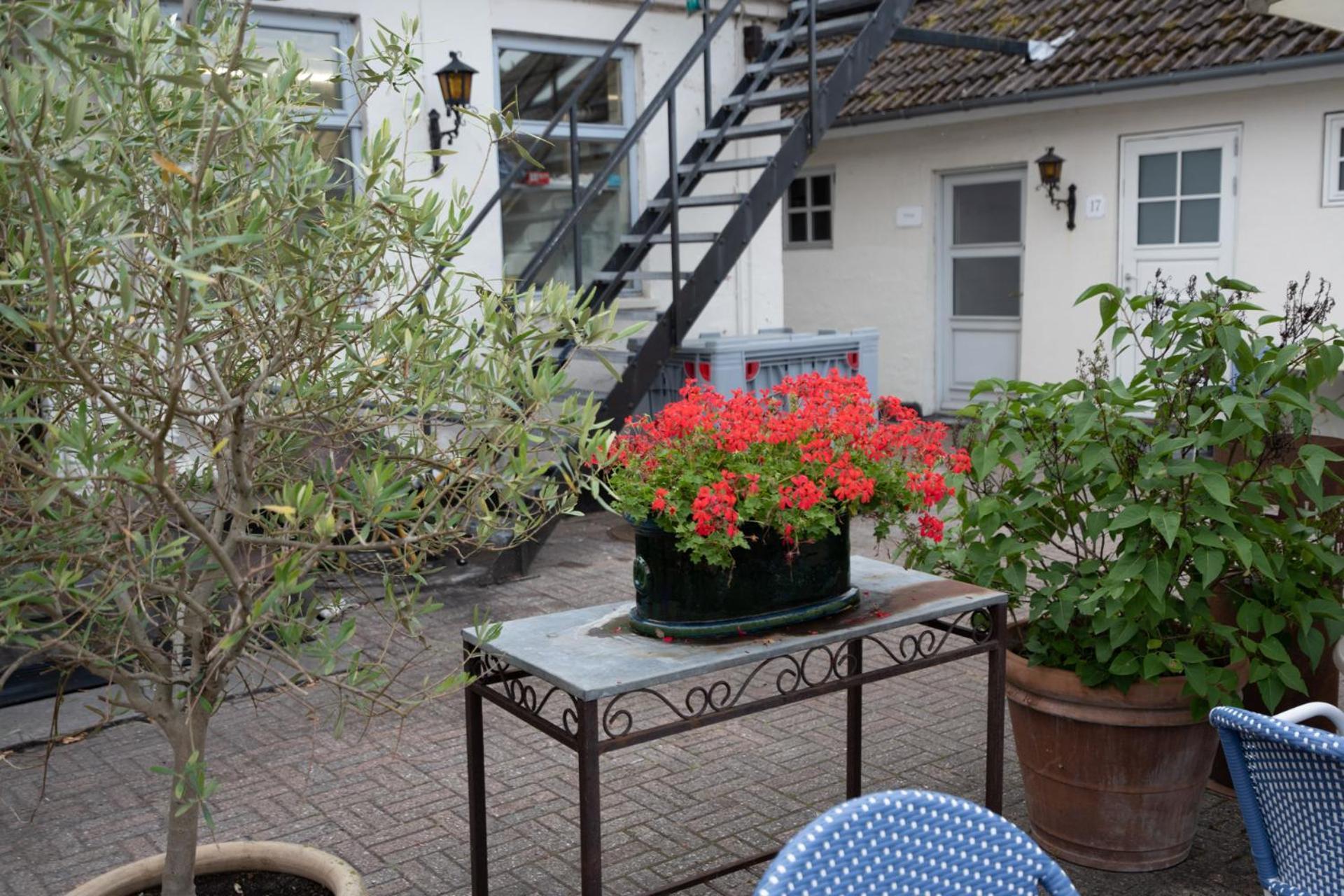 Rodvig Kro Og Badehotel Экстерьер фото